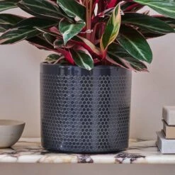 Capri Plant Pot -Tower Garden Outlet Store 30971686 alt01