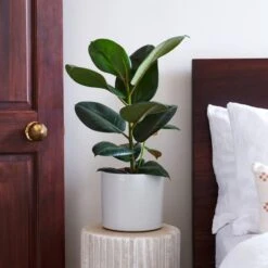 Capri Plant Pot -Tower Garden Outlet Store 30971692