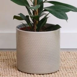 Capri Plant Pot -Tower Garden Outlet Store 30971701 alt01