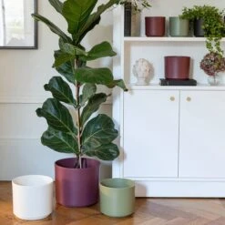 Prague Ceramic Plant Pot -Tower Garden Outlet Store 30976775 alt09