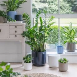 Lisbon Ceramic Plant Pot -Tower Garden Outlet Store 30976778 alt09