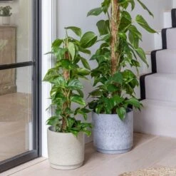 Wesley Marble Terracotta Plant Pot -Tower Garden Outlet Store 30976783 alt09