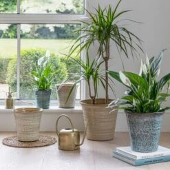 Vallo Terracotta Tapered Plant Pot -Tower Garden Outlet Store 30976785 alt09