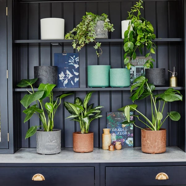 Set Of 2 Celine Recycled Plant Pots 12 Set Of 2 Celine Recycled Plant Pots - Image 12