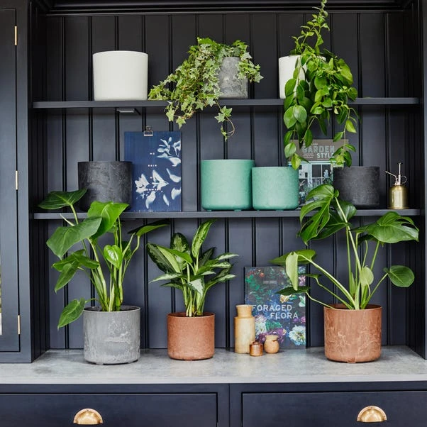 Set Of 2 Celine Recycled Plant Pots 10 Set Of 2 Celine Recycled Plant Pots - Image 10