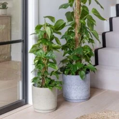 Wesley Marble Terracotta Plant Pot -Tower Garden Outlet Store 30976823 alt09