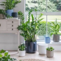 Lisbon Ceramic Plant Pot -Tower Garden Outlet Store 30976826 alt09