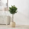 Bobble Fibrestone Plant Pot