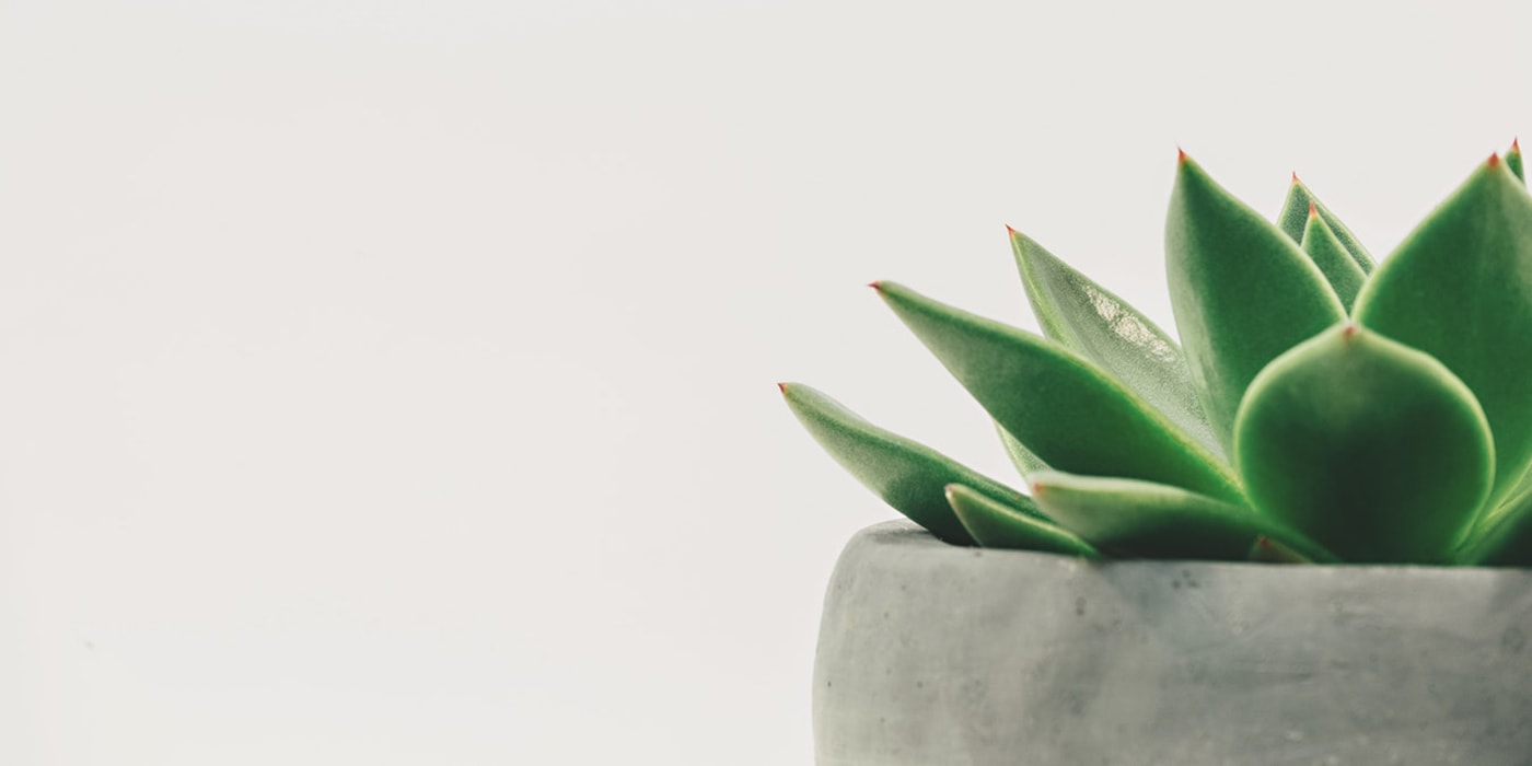 Tower Garden Outlet Store -Tower Garden Outlet Store blog 13